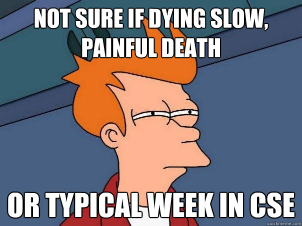 Not sure if dying slow, painful death Or typical week in cse  Futurama Fry