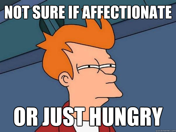 not sure if affectionate or just hungry  Futurama Fry