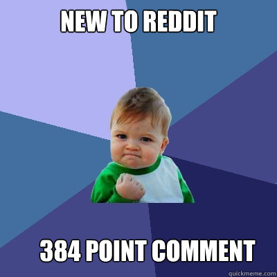 New to Reddit 384 point comment  Success Kid