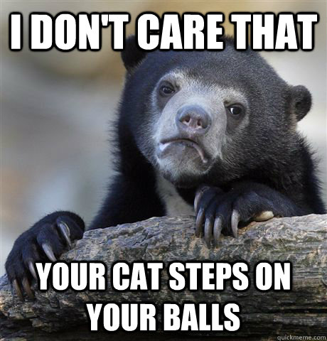 i don't care that your cat steps on your balls  Confession Bear