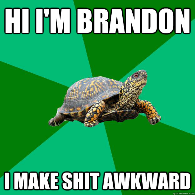 Hi I'm Brandon I Make Shit Awkward  - Hi I'm Brandon I Make Shit Awkward   Torrenting Turtle