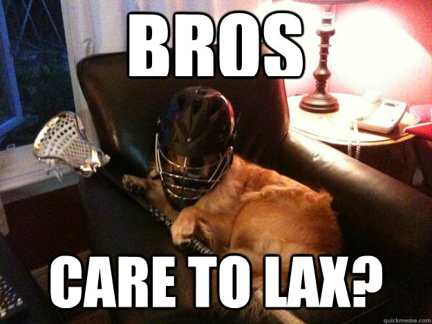 BROS Care to lax? - BROS Care to lax?  Lax dog