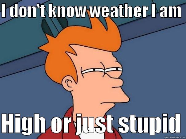 I DON'T KNOW WEATHER I AM   HIGH OR JUST STUPID Futurama Fry