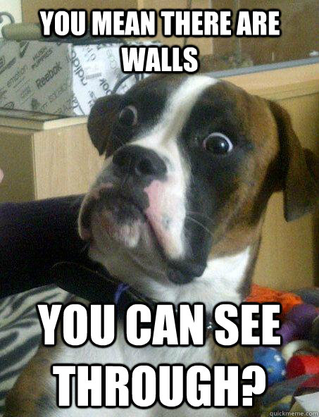 you mean there are walls you can see through?  Baffled boxer