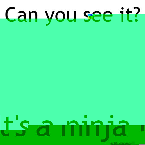 Can you see it? It's a ninja - Can you see it? It's a ninja  Meme