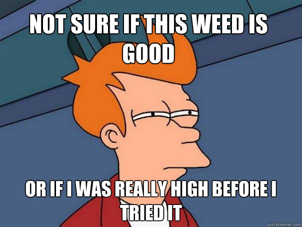 Not sure if this weed is good Or if i was really high before i tried it  Futurama Fry