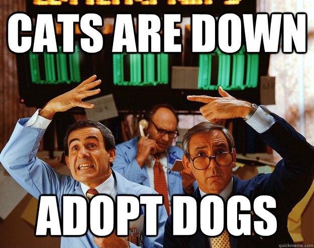 Cats are down  Adopt dogs - Cats are down  Adopt dogs  reddit stock