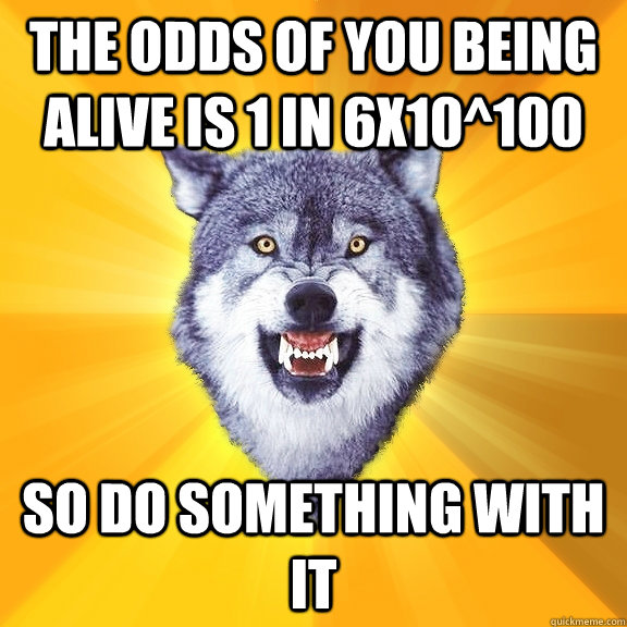 the odds of you being alive is 1 in 6x10^100 so do something with it  Courage Wolf