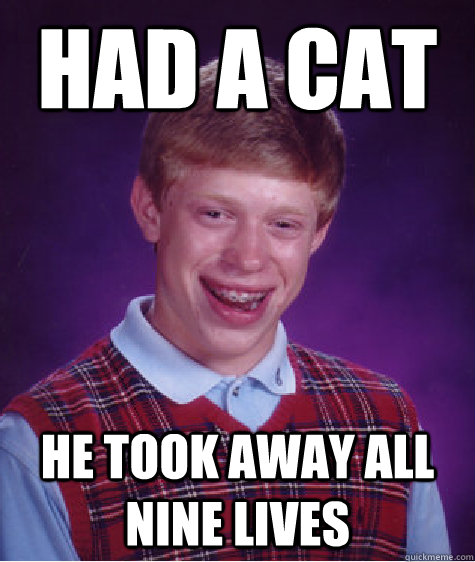 had a cat he took away all nine lives  Bad Luck Brian