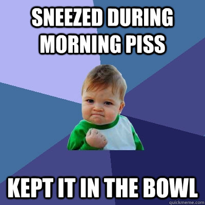 Sneezed during morning piss Kept it in the bowl  - Sneezed during morning piss Kept it in the bowl   Success Kid