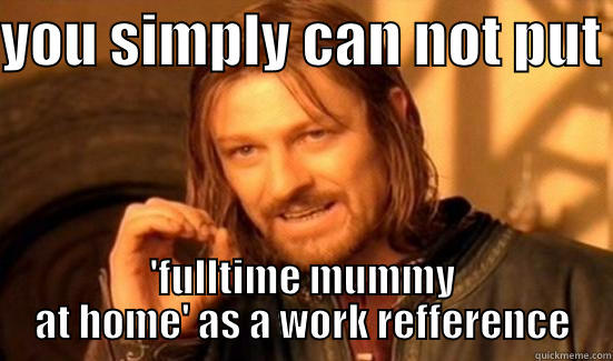 YOU SIMPLY CAN NOT PUT  'FULLTIME MUMMY AT HOME' AS A WORK REFFERENCE Boromir