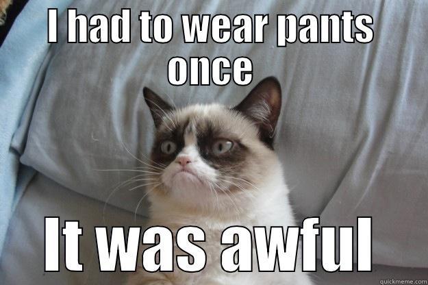 I HAD TO WEAR PANTS ONCE IT WAS AWFUL Grumpy Cat