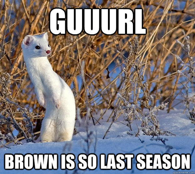 Guuurl Brown is so last season - Guuurl Brown is so last season  Misc