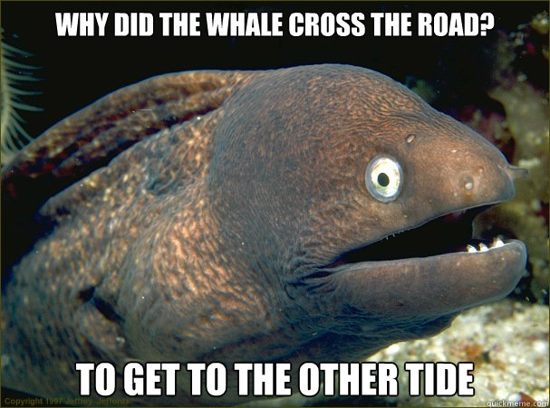 Why did the whale cross the road? To get to the other Tide
 - Why did the whale cross the road? To get to the other Tide
  Bad Joke Eel