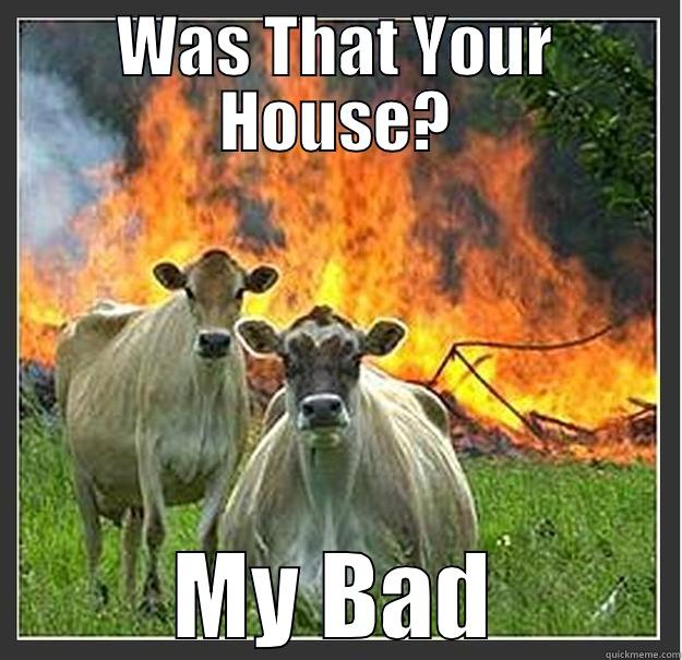 WAS THAT YOUR HOUSE? MY BAD Evil cows