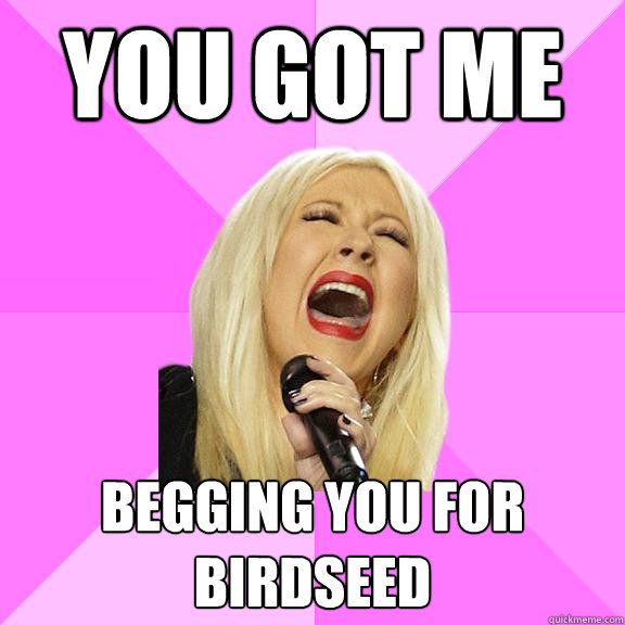 You got me  begging you for birdseed  Wrong Lyrics Christina