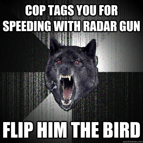 Cop tags you for speeding with radar gun flip him the bird  Insanity Wolf