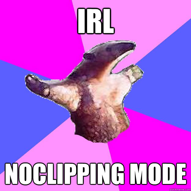 IRL Noclipping mode - IRL Noclipping mode  Property Damage Anteater