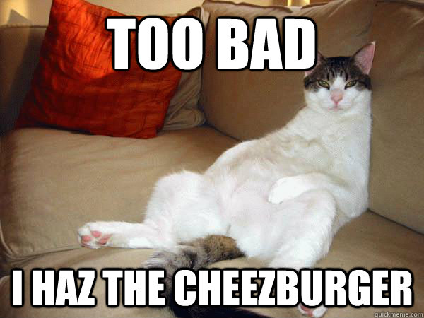 too bad i haz the cheezburger - too bad i haz the cheezburger  Too bad!