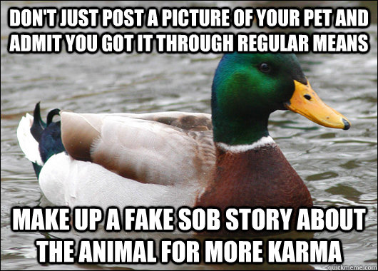 Don't just post a picture of your pet and admit you got it through regular means Make up a fake sob story about the animal for more karma  BadBadMallard
