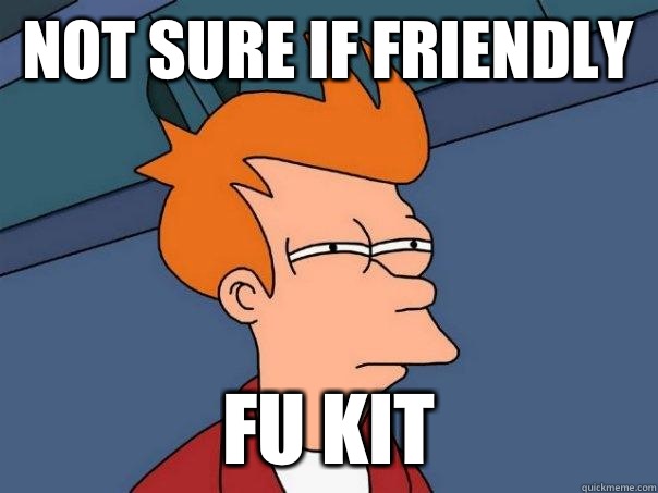 Not sure if friendly Fu kit - Not sure if friendly Fu kit  Futurama Fry