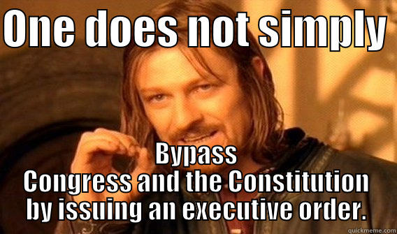 ONE DOES NOT SIMPLY  BYPASS CONGRESS AND THE CONSTITUTION BY ISSUING AN EXECUTIVE ORDER. One Does Not Simply