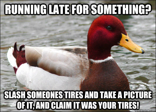 Running late for something? Slash someones tires and take a picture of it, and claim it was your tires!  Malicious Advice Mallard