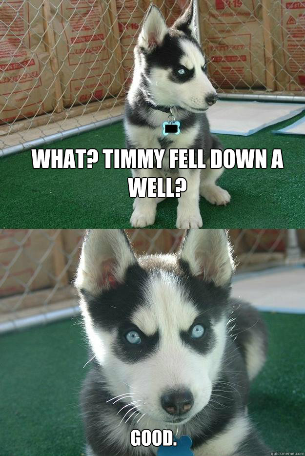 What? Timmy fell down a well? Good. - What? Timmy fell down a well? Good.  Insanity puppy