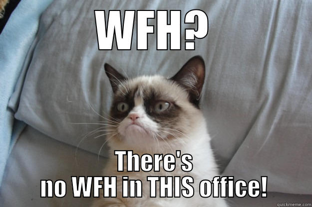 WFH? THERE'S NO WFH IN THIS OFFICE! Grumpy Cat