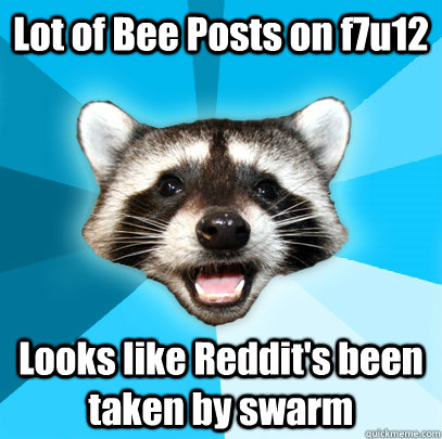 Lot of Bee Posts on f7u12 Looks like Reddit's been taken by swarm  Lame Pun Coon