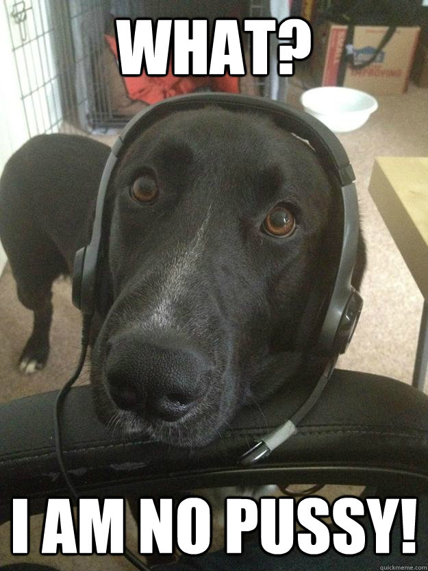 What? I am no pussy!  Gamer Dog