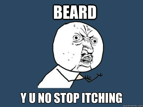 beard y u no stop itching  Y U No