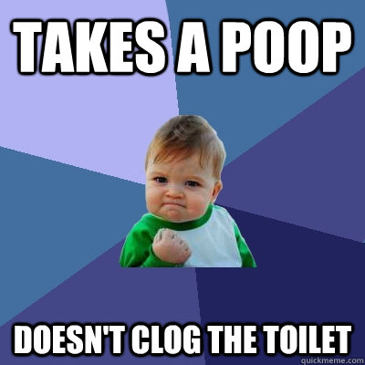 Takes a poop Doesn't clog the toilet  Success Kid