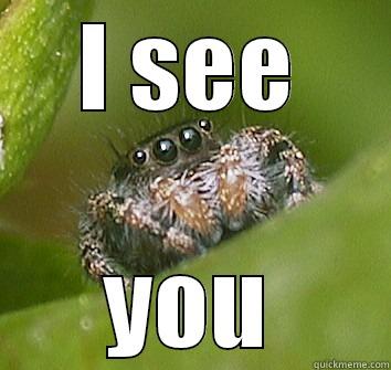 I SEE YOU Misunderstood Spider