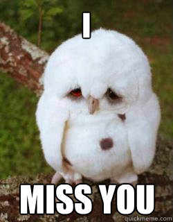 miss you I  Sad Owl