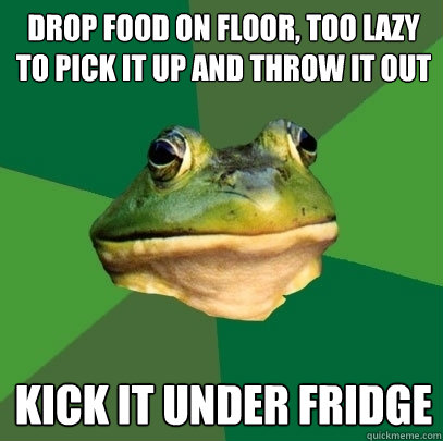 drop food on floor, too lazy to pick it up and throw it out kick it under fridge - drop food on floor, too lazy to pick it up and throw it out kick it under fridge  Foul Bachelor Frog