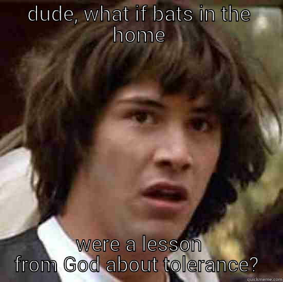 God tolerance - DUDE, WHAT IF BATS IN THE HOME WERE A LESSON FROM GOD ABOUT TOLERANCE?  conspiracy keanu