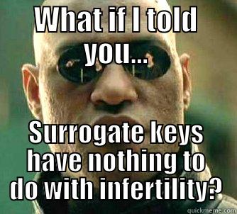 WHAT IF I TOLD YOU... SURROGATE KEYS HAVE NOTHING TO DO WITH INFERTILITY? Matrix Morpheus