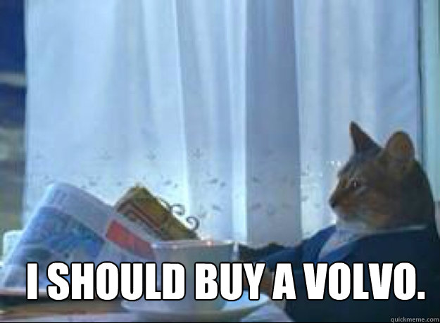       I should Buy a Volvo.  I should buy a boat cat