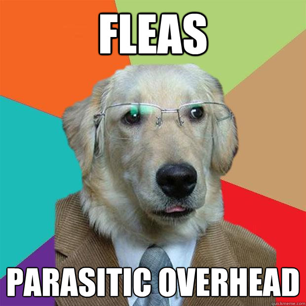 Fleas parasitic overhead - Fleas parasitic overhead  Business Dog