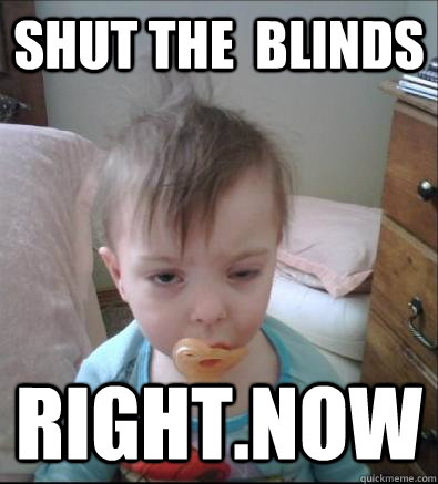 Shut the  blinds right.now  Party Toddler