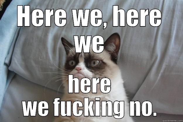 How bout no - HERE WE, HERE WE HERE WE FUCKING NO. Grumpy Cat