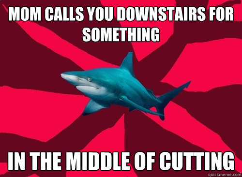 mom calls you downstairs for something in the middle of cutting  Self-Injury Shark