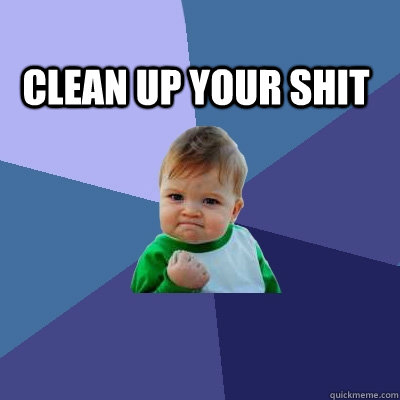 CLEAN UP YOUR SHIT  - CLEAN UP YOUR SHIT   Success Kid