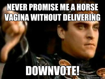 Never promise me a horse vagina without delivering  downvote! - Never promise me a horse vagina without delivering  downvote!  Downvoting Roman