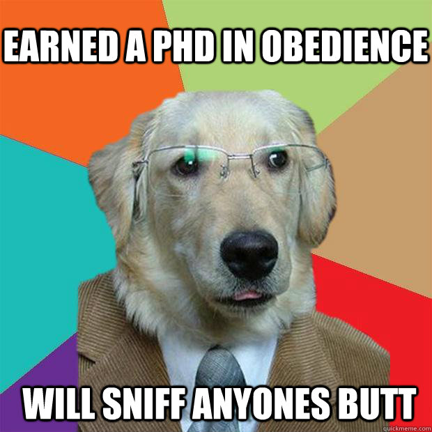 earned a Phd in obedience  Will sniff anyones butt  Business Dog