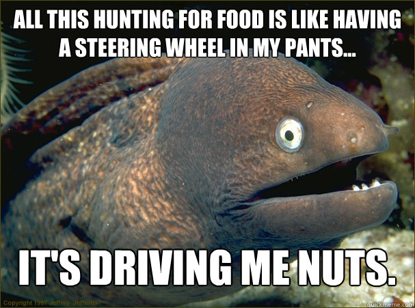 All this hunting for food is like having a steering wheel in my pants... It's driving me nuts.  Bad Joke Eel