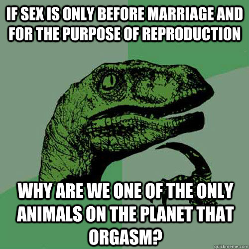 If Sex is only before marriage and for the purpose of reproduction Why are we one of the only animals on the planet that orgasm? - If Sex is only before marriage and for the purpose of reproduction Why are we one of the only animals on the planet that orgasm?  Philosoraptor