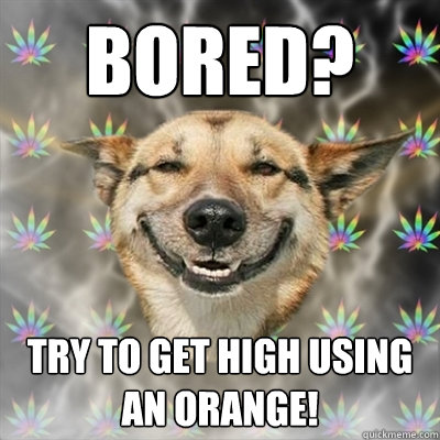 Bored? Try to get high using an orange!  Stoner Dog