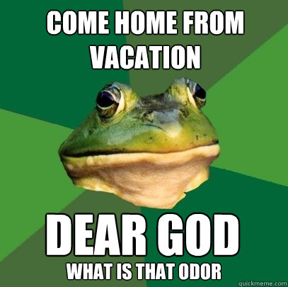 Come home from vacation dear god
 what is that odor - Come home from vacation dear god
 what is that odor  Foul Bachelor Frog